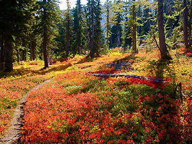 Fall | Alpine Lakes HC