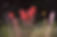 File0035.jpg