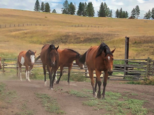 During a recent trip to the NW, I visited with a couple of my favorites!