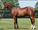 SASSMASTER makes it two wins in a row! 