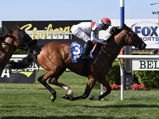 HUSH OF A STORM wire-to-wire allowance winner at Belmont!