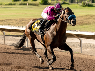 July 4th Stake Winning Double for Roden Bloodstock