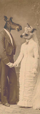 aux antipodes_w.jpg