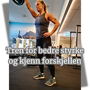 Proweb2 (500 x 500 px).png