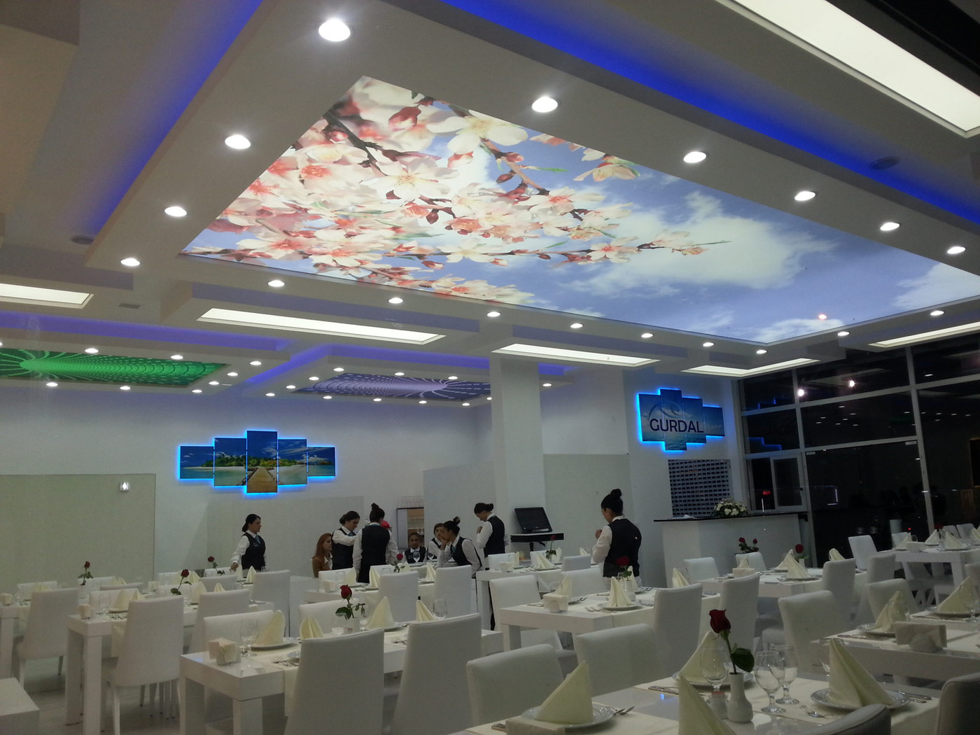 תקרה מתוחה שמיים