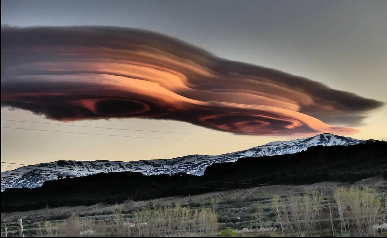 lenticular