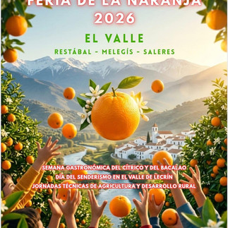 feria de la naranja