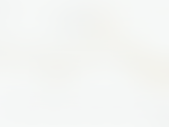 FORMUEPLEJE A/S FONDE KOLLAPSET IGEN!