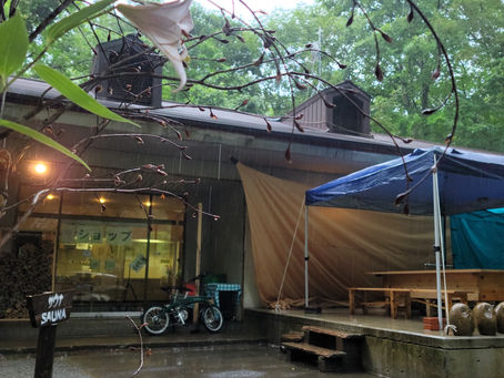 本日のふるさとの森