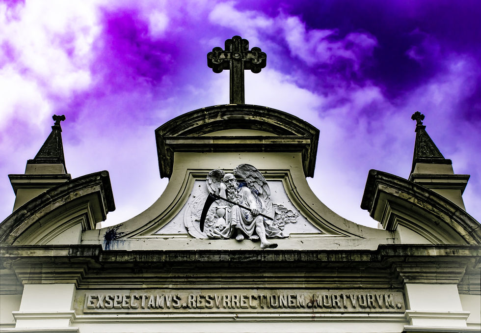 FOTO FIJA CAP I.jpg