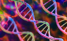 Is Autism Hereditary?