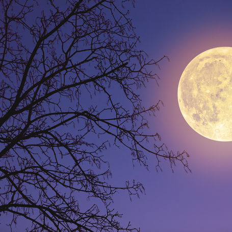 Is Being Affected By A Full Moon A Real Thing?