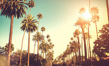 Treatment and Recovery in Hollywood 