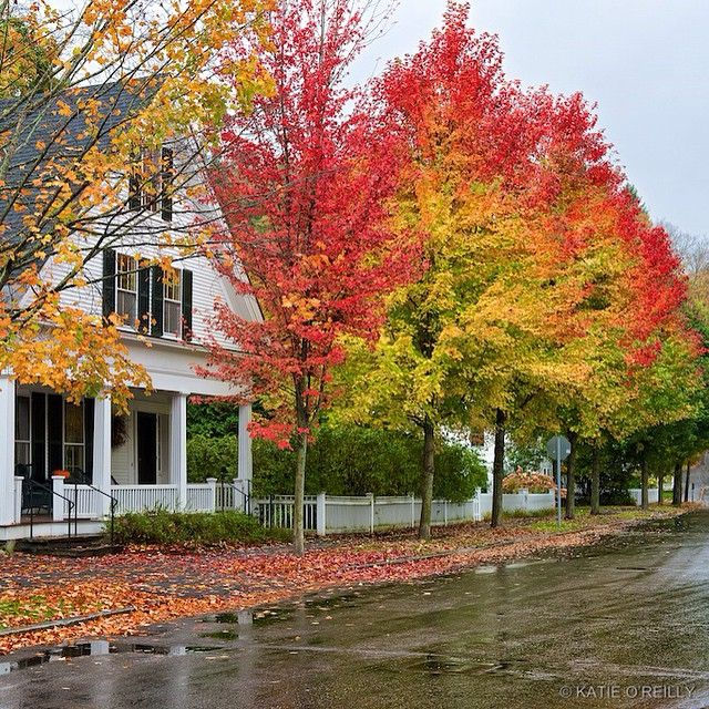 Moving To A New Town