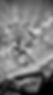IMG_3129.jpeg