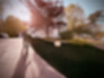 IMG_1367.jpeg
