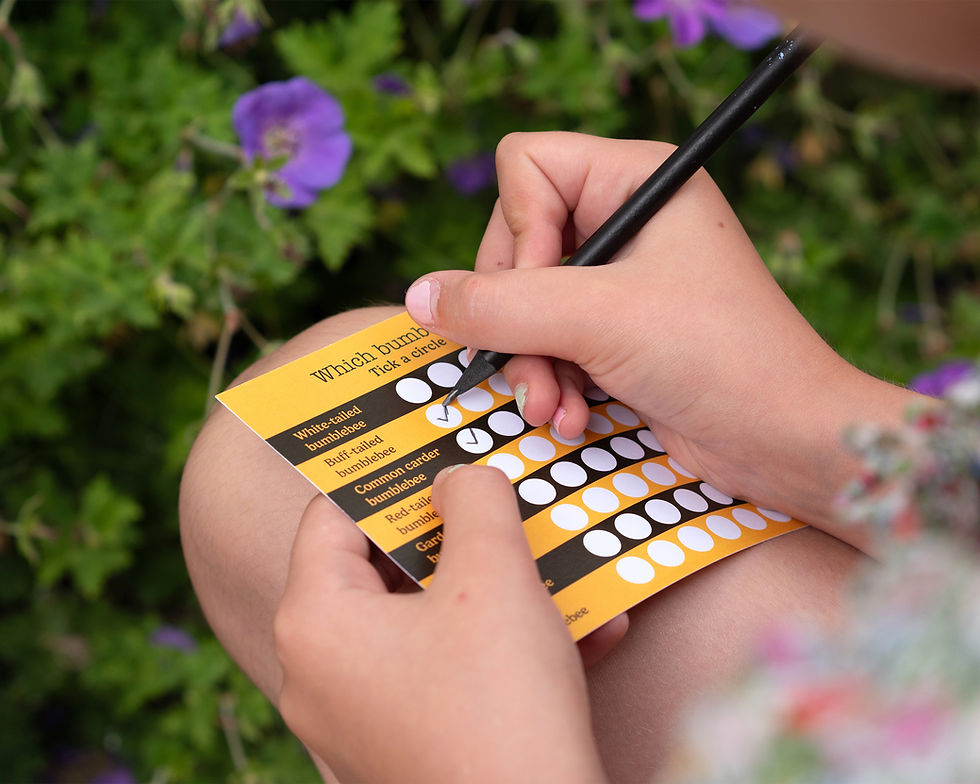 Thumbnail: Bee Box ID card