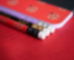 Ladybird Notebook Set