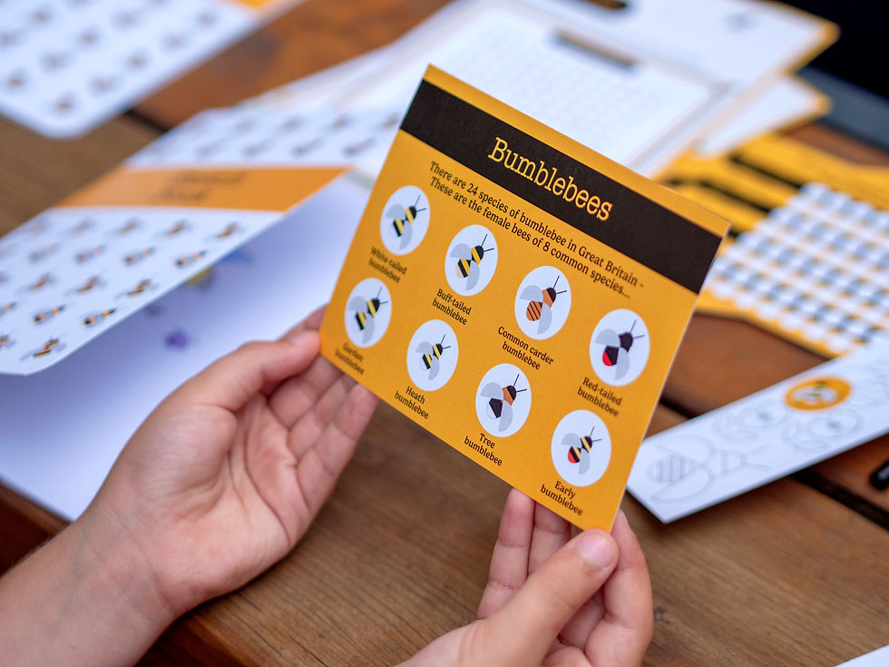 Bee Box ID card
