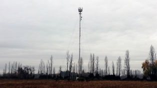 ENTEL: Enajenación de Torres y Cesión de Contratos de Arrendamiento