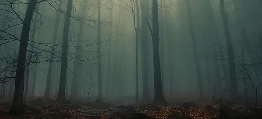 czNmcy1wcml2YXRlL3Jhd3BpeGVsX2ltYWdlcy93ZWJzaXRlX2NvbnRlbnQvbHIvd2s3MTY1NjM0NS1pbWFnZS1rcH