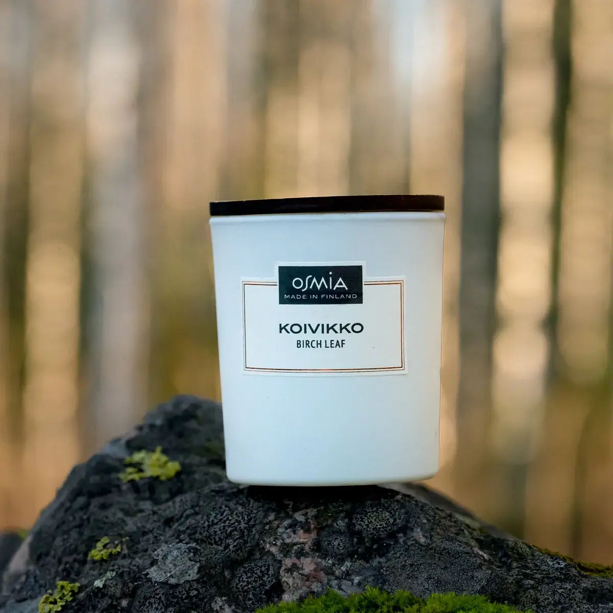 OSMIA キャンドル　KOIVIKKO バーチ/白樺