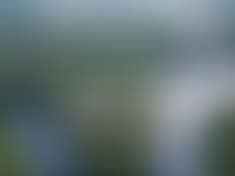 スパメッツァおおたかにてフィンランドの森を五感で体感する「OSMIA FAIR」を開催!