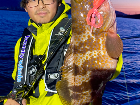 5月朝便アコウキャスティングゲーム