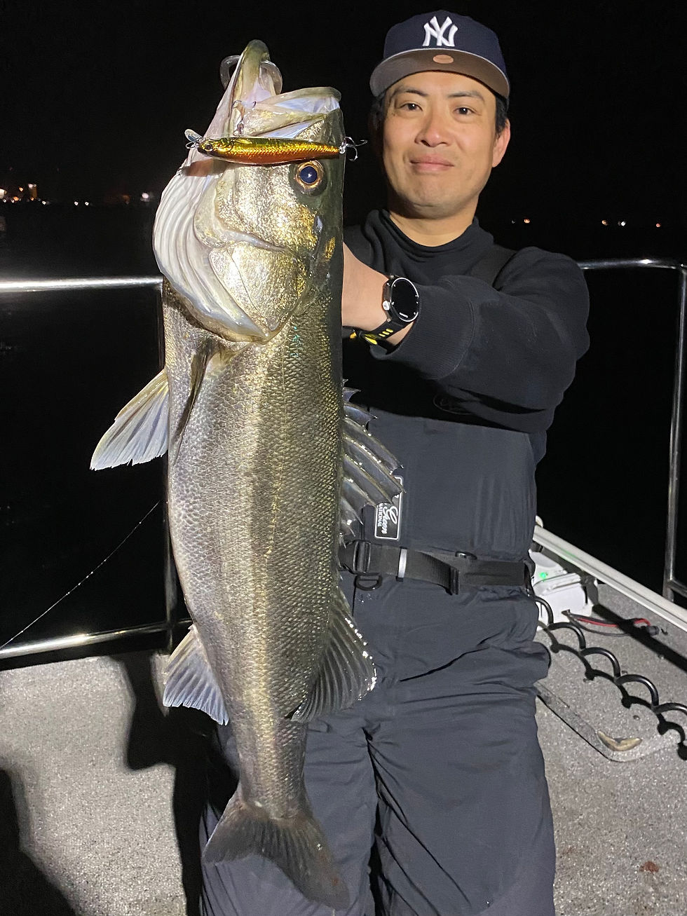 3月2号艇夜便シーバス