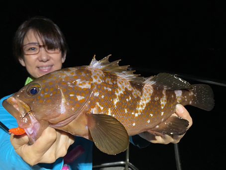 6月2号艇夜便アコウ