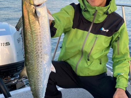 11月2号艇朝便サワラキャスティング