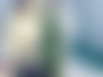 4月2号艇朝便シーバス&サバ