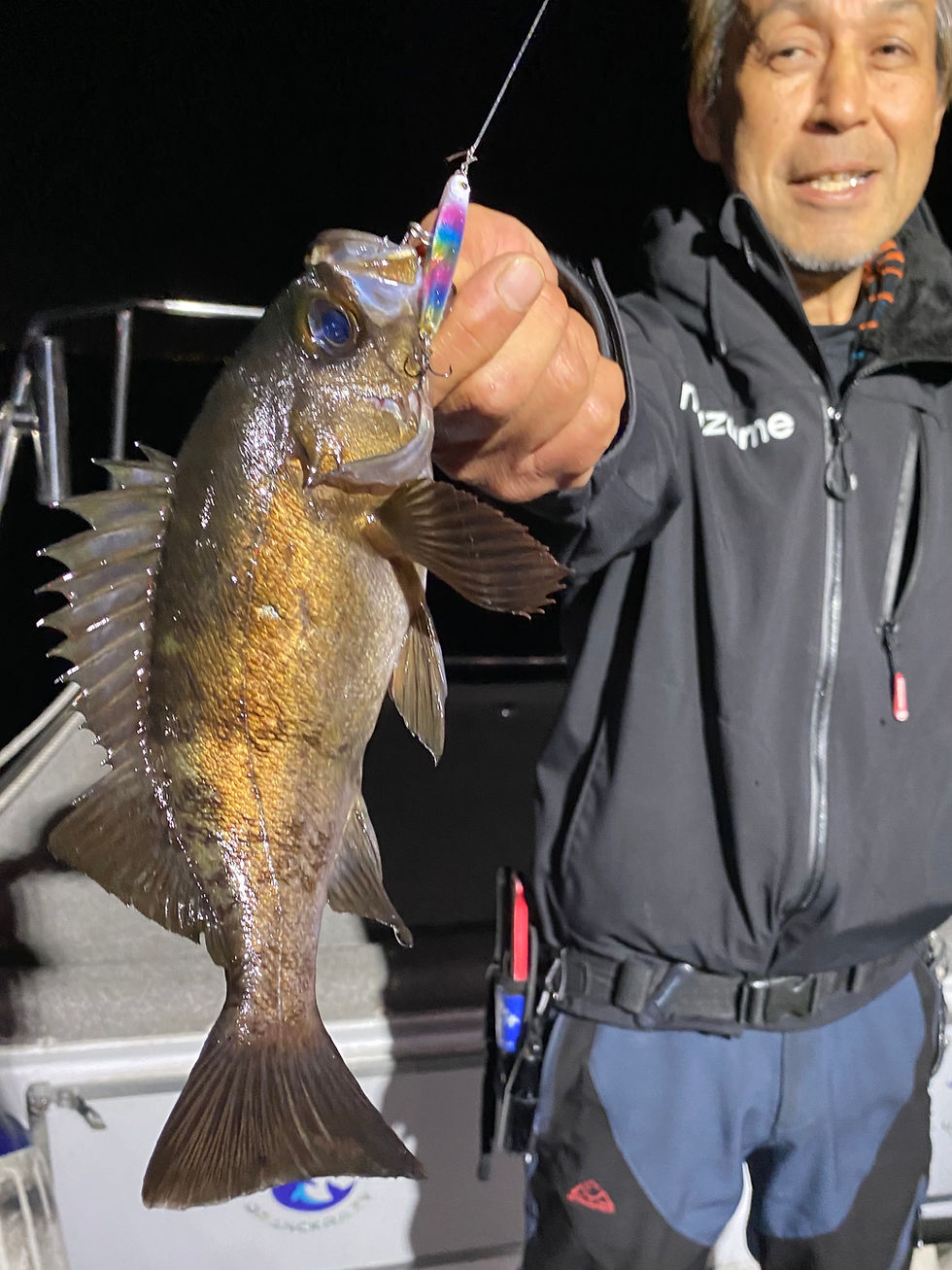 4月2号艇夜便メバル