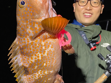 6月2号艇夜便アコウ&チニング