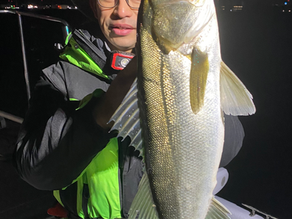 1月2号艇朝便シーバス