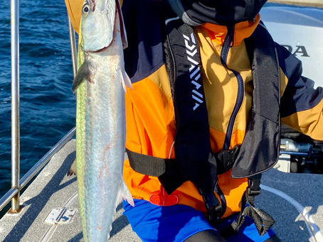 10月2号艇朝便サワラキャスティング