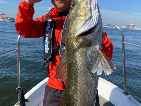 5月朝便シーバスディゲーム