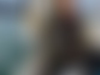 1月朝便シーバスキャスティングゲーム