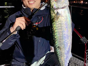 4月2号艇夜便シーバス&アジング&大サバ