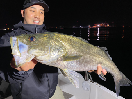 4月2号艇夜便シーバス