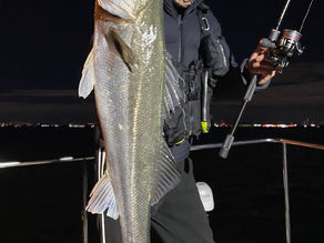 1月2号艇夜便シーバス