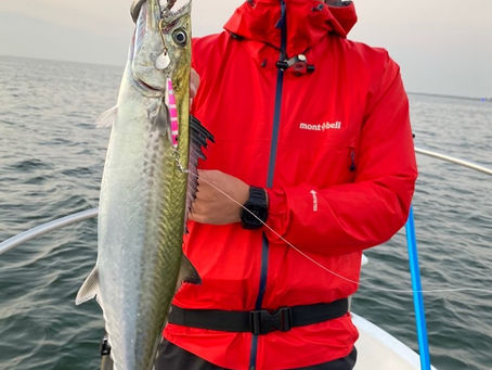 11月朝便シーバス&サワラ青物キャスティングゲーム