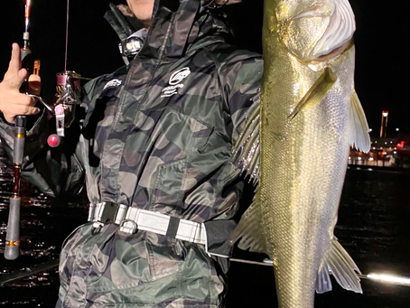 12月2号艇夜便シーバスキャスティング