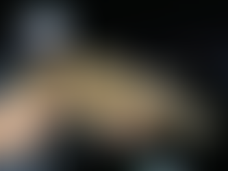 11月2号艇朝便シーバス&アコウ&サワラ