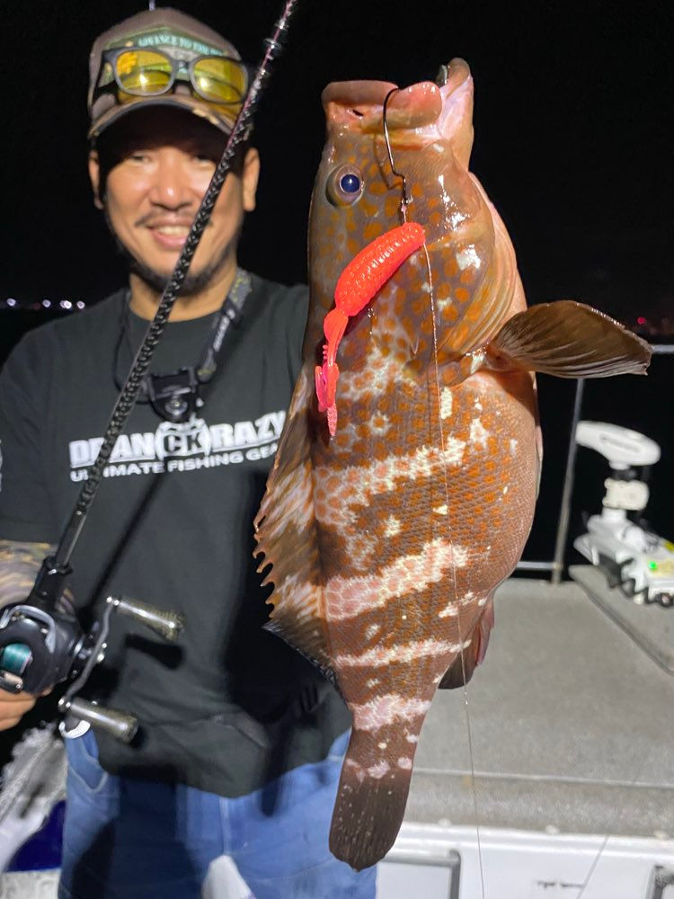 7月2号艇夜便アコウ