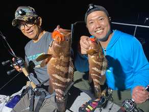 7月2号艇夜便アコウ&チニング