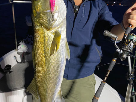 10月朝便シーバス&サワラキャスティングゲーム