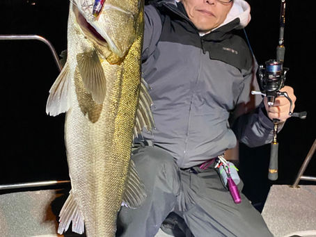 2月2号艇夜便シーバス&ライトロックゲーム