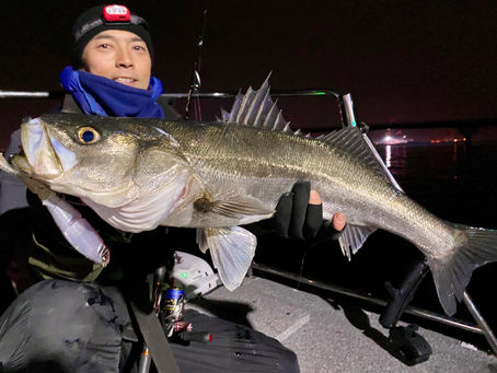 2月2号艇夜便シーバスナイト