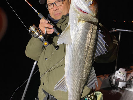 3月夜便シーバス&アジング